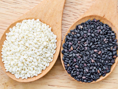 Sesame-01-1024x768